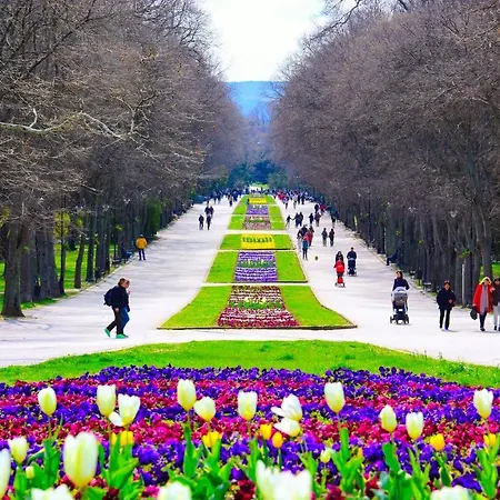 жасмин с частен гараж - Jasmin With Private Garage * Варна